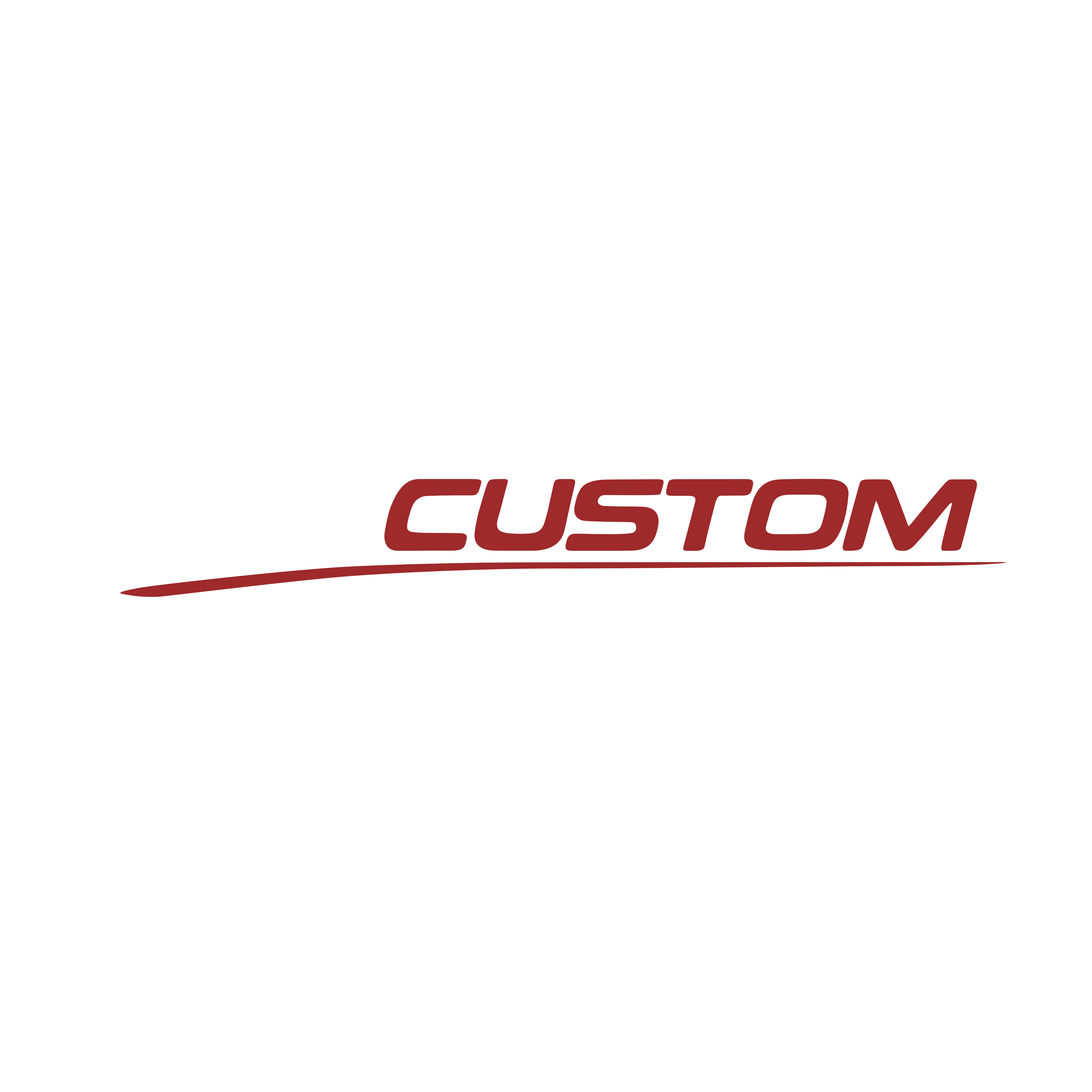 TPcustom Logo
