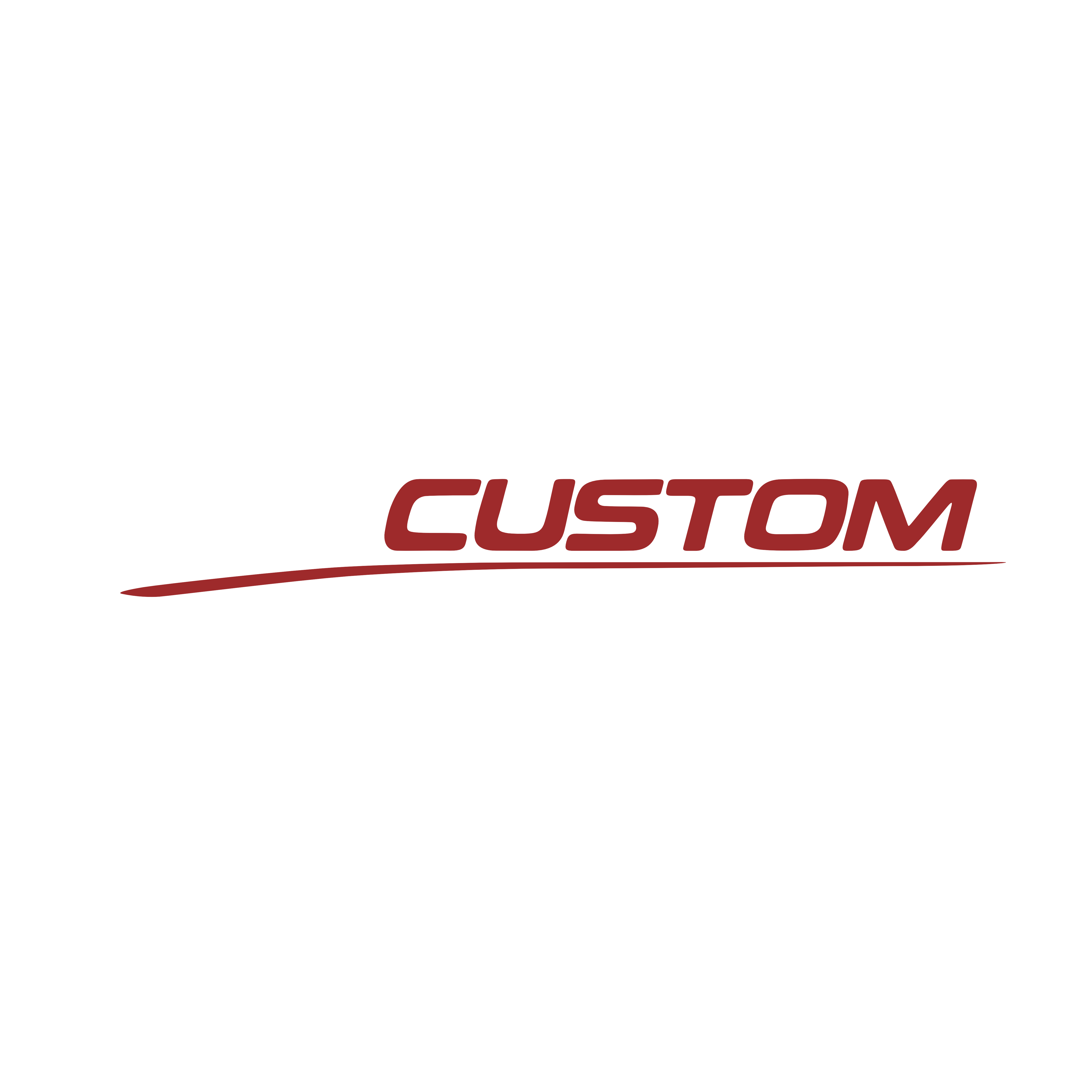 TPcustom Logo